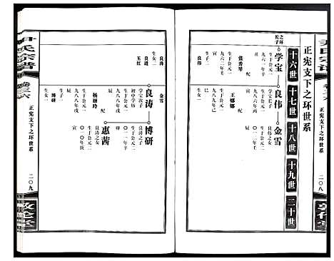 [尹]尹氏宗谱 (安徽) 尹氏家谱_A100.pdf