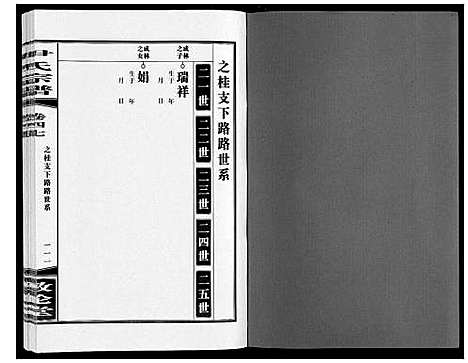 [尹]尹氏宗谱_63卷首2卷 (安徽) 尹氏家谱_A132.pdf