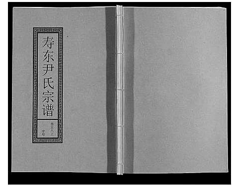 [尹]尹氏宗谱_63卷首2卷 (安徽) 尹氏家谱_A159.pdf