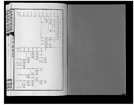 [詹]中华詹氏统宗谱 (安徽) 中华詹氏统家谱_三.pdf