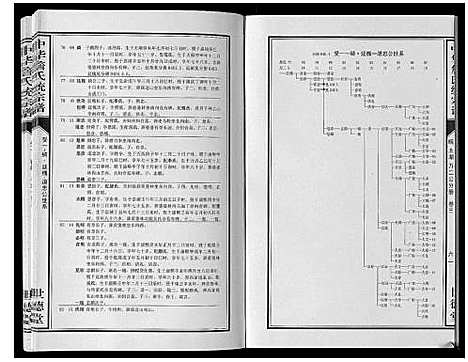 [詹]中华詹氏统宗谱 (安徽) 中华詹氏统家谱_三.pdf