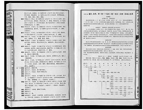 [詹]中华詹氏统宗谱 (安徽) 中华詹氏统家谱_八.pdf