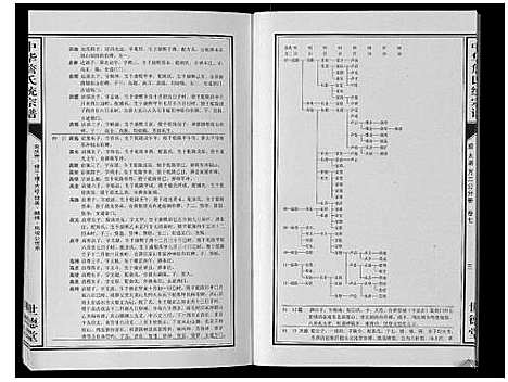 [詹]中华詹氏统宗谱 (安徽) 中华詹氏统家谱_九.pdf