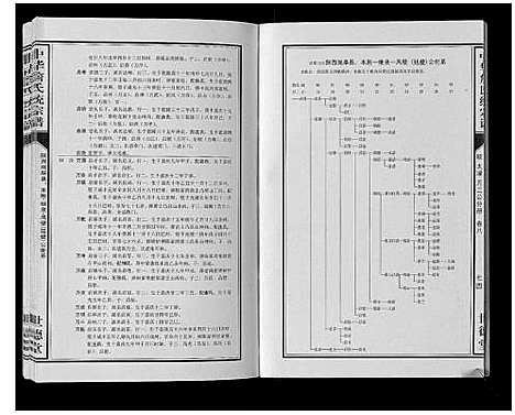 [詹]中华詹氏统宗谱 (安徽) 中华詹氏统家谱_十二.pdf