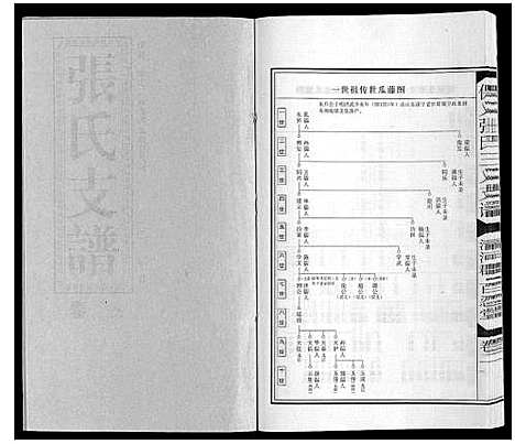 [张]保义张氏三义支谱 (安徽) 保义张氏三义支谱_四.pdf