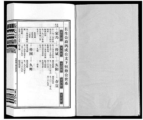 [张]张氏宗谱 (安徽) 张氏家谱_四.pdf