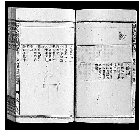 [张]张氏宗谱_32卷首3卷 (安徽) 张氏家谱_十九.pdf