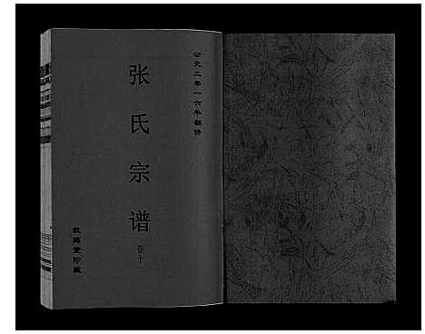 [张]张氏宗谱_12卷 (安徽) 张氏家谱_九.pdf