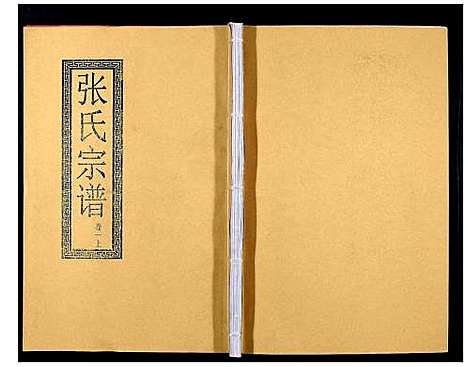 [张]张氏宗谱_12卷 (安徽) 张氏家谱_一.pdf