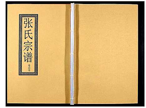 [张]张氏宗谱_12卷 (安徽) 张氏家谱_六.pdf