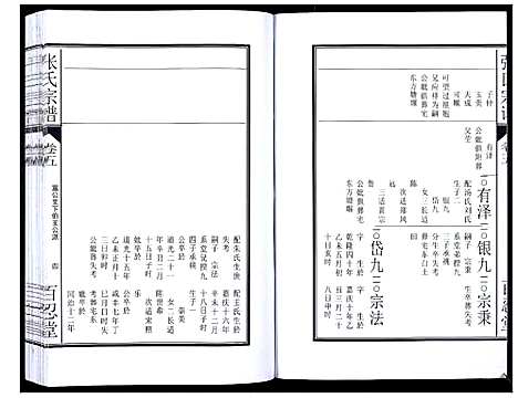 [张]张氏宗谱_12卷 (安徽) 张氏家谱_十.pdf