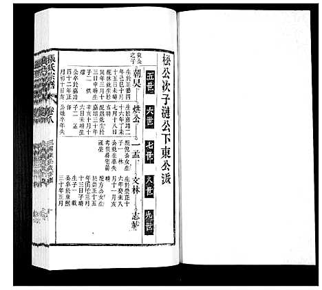 [张]张氏宗谱_12卷 (安徽) 张氏家谱_八.pdf