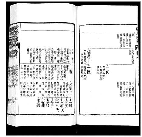 [张]张氏宗谱_12卷 (安徽) 张氏家谱_八.pdf