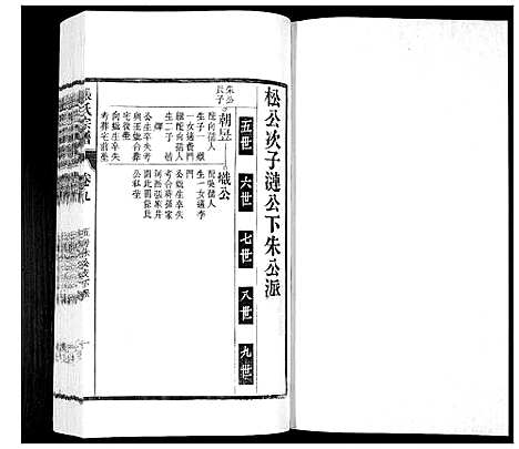 [张]张氏宗谱_12卷 (安徽) 张氏家谱_九.pdf