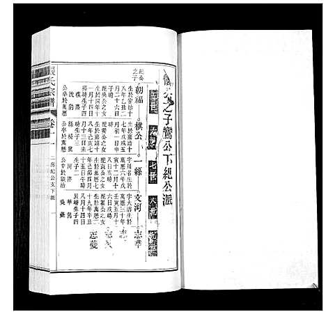 [张]张氏宗谱_12卷 (安徽) 张氏家谱_十一.pdf