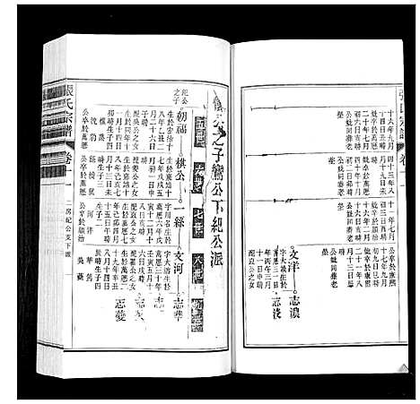 [张]张氏宗谱_12卷 (安徽) 张氏家谱_十一.pdf