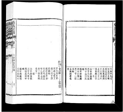 [张]张氏宗谱_12卷 (安徽) 张氏家谱_十二.pdf