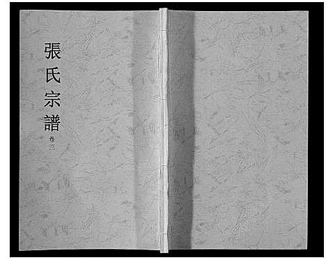 [张]张氏宗谱_6卷 (安徽) 张氏家谱_三.pdf