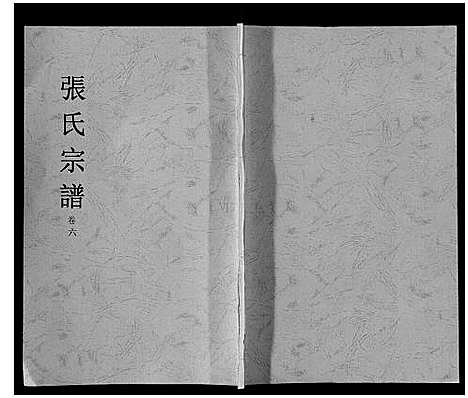 [张]张氏宗谱_6卷 (安徽) 张氏家谱_六.pdf