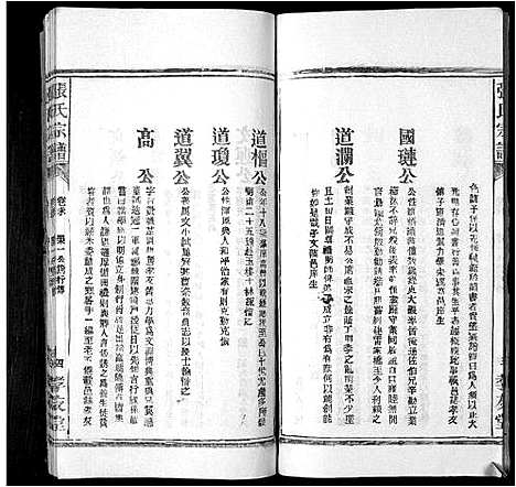 [张]张氏宗谱_8卷首末各1卷 (安徽) 张氏家谱_十.pdf