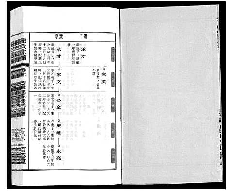 [张]张氏宗谱_9卷 (安徽) 张氏家谱_八.pdf