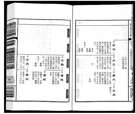 [张]张氏宗谱_9卷 (安徽) 张氏家谱_八.pdf