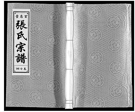 [张]张氏宗谱_9卷 (安徽) 张氏家谱_九.pdf