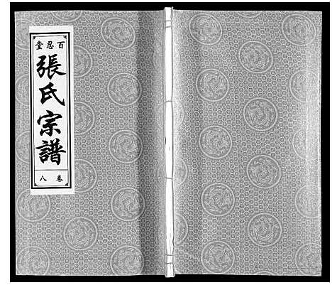 [张]张氏宗谱_9卷 (安徽) 张氏家谱_十.pdf