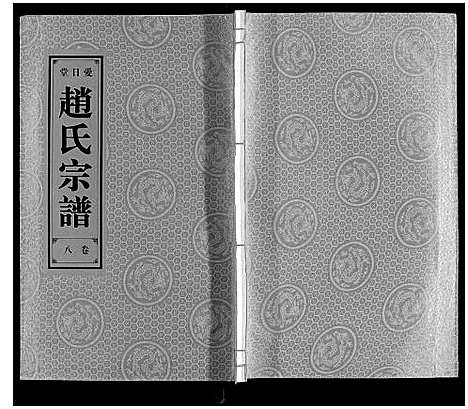 [赵]赵氏宗谱 (安徽) 赵氏家谱_九.pdf