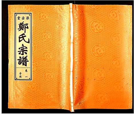 [郑]郑氏宗谱 (安徽) 郑氏家谱_一.pdf