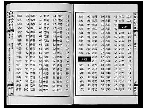 [朱]朱塔朱氏宗谱_16卷 (安徽) 朱塔朱氏家谱_十二.pdf