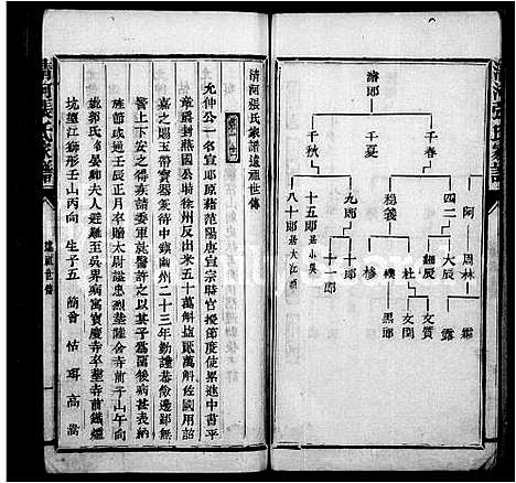 [张]清河张氏家谱 (中国) 清河张氏家谱.pdf