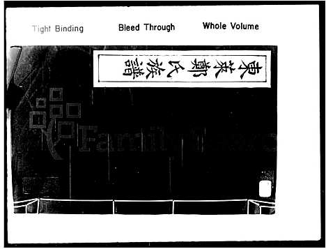 [郑]东莱郑氏族谱 (中国) 东莱郑氏家谱.pdf