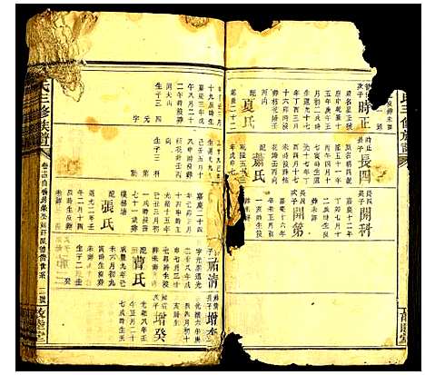 [李]李氏三修族谱 (中国) 李氏三修家谱_三.pdf