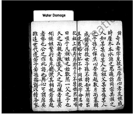 [李]李氏家谱 (中国) 李氏家谱.pdf