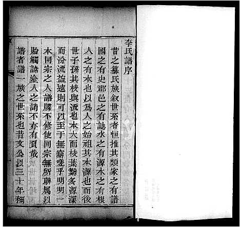 [李]李氏族谱 (中国) 李氏家谱.pdf