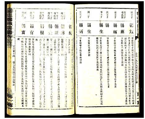 [李]黎山李氏宗谱 (中国) 黎山李氏家谱_十七.pdf