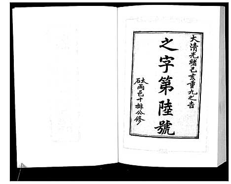 [苏]新编苏氏总族谱 (中国) 新编苏氏总家谱_二十.pdf