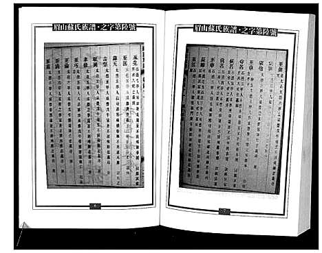 [苏]新编苏氏总族谱 (中国) 新编苏氏总家谱_二十.pdf