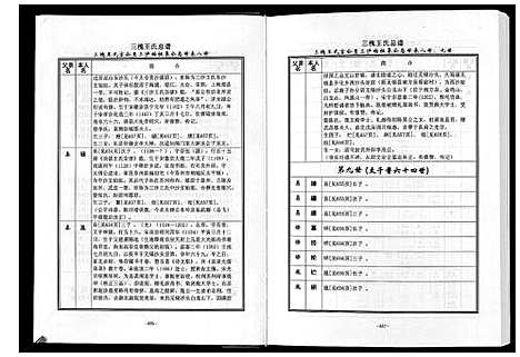 [王]三槐王氏总谱_6卷 (中国) 三槐王氏总谱_四.pdf