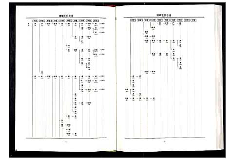 [王]中华王氏大成总谱_第三部 (中国) 中华王氏大成总谱_七.pdf