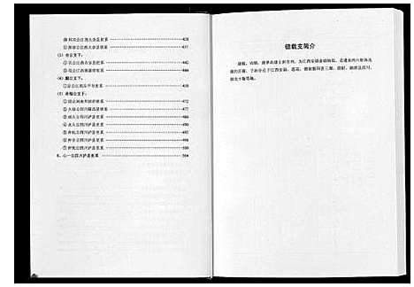 [王]太原王氏总谱_12卷 (中国) 太原王氏总谱_四.pdf