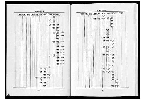 [王]太原王氏总谱_12卷 (中国) 太原王氏总谱_四.pdf