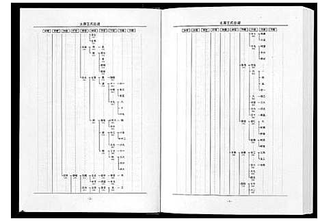 [王]太原王氏总谱_12卷 (中国) 太原王氏总谱_五.pdf