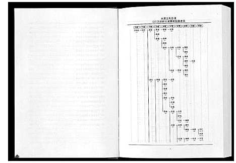 [王]太原王氏总谱_12卷 (中国) 太原王氏总谱_八.pdf