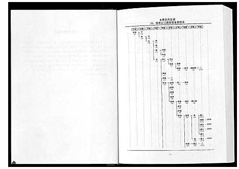 [王]太原王氏总谱_12卷 (中国) 太原王氏总谱_九.pdf