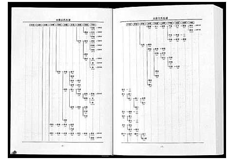 [王]太原王氏总谱_12卷 (中国) 太原王氏总谱_九.pdf