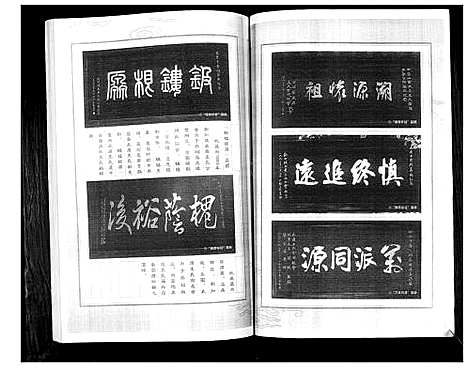 [王]王氏宗谱 (中国) 王氏家谱_一.pdf