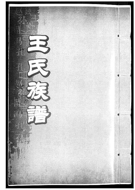 [王]王氏族谱 (中国) 王氏家谱_一.pdf