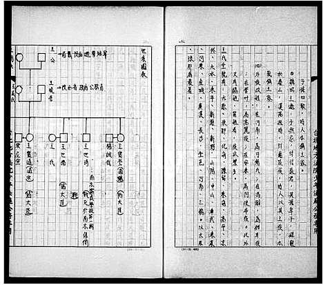 [王]王氏_家谱-母系 (中国) 王氏家谱.pdf